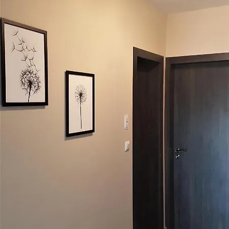 Azzurro-top Floor In Quiet Neighborhood, Free Private Parking Apartman Várna